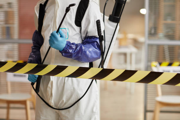 Professional Sewage Cleanup technician working in Stonington, CT